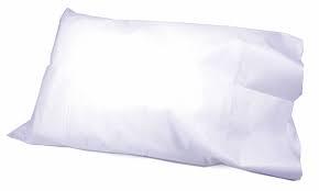 Disposable Pillow Case 100 /Case